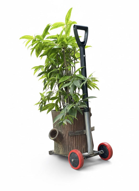 Multi-Purpose Trolley – Move LPG Cylinders, Rice Bags & Pots Effortlessly